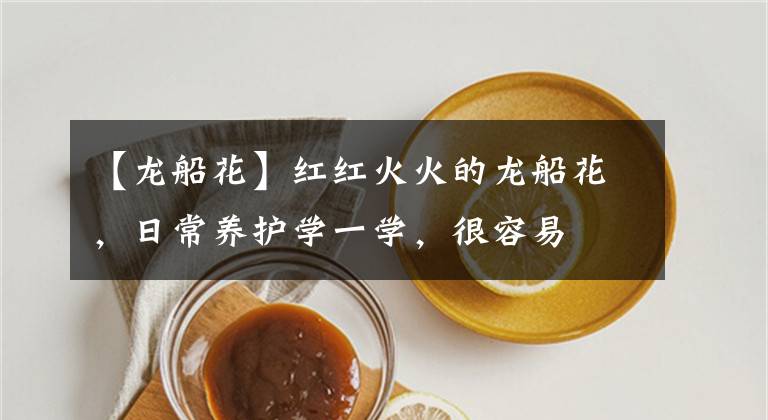 【龍船花】紅紅火火的龍船花，日常養(yǎng)護(hù)學(xué)一學(xué)，很容易