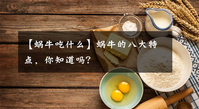 【蝸牛吃什么】蝸牛的八大特點(diǎn)，你知道嗎？