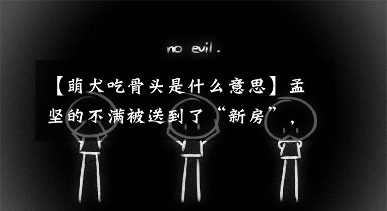 【萌犬吃骨頭是什么意思】孟堅的不滿被送到了“新房”，流浪了30天，找回了老房子