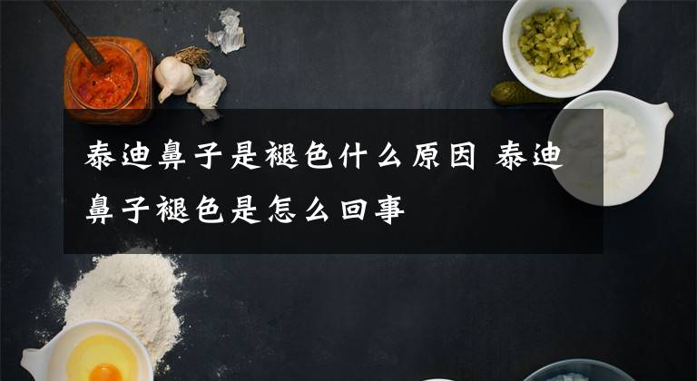 泰迪鼻子是褪色什么原因 泰迪鼻子褪色是怎么回事