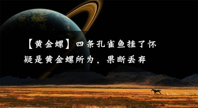 【黃金螺】四條孔雀魚掛了懷疑是黃金螺所為，果斷丟棄