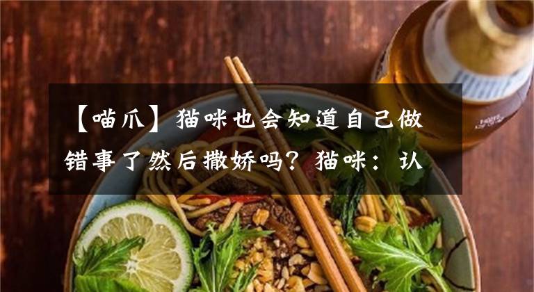 【喵爪】貓咪也會知道自己做錯(cuò)事了然后撒嬌嗎？貓咪：認(rèn)識錯(cuò)誤，堅(jiān)決不改