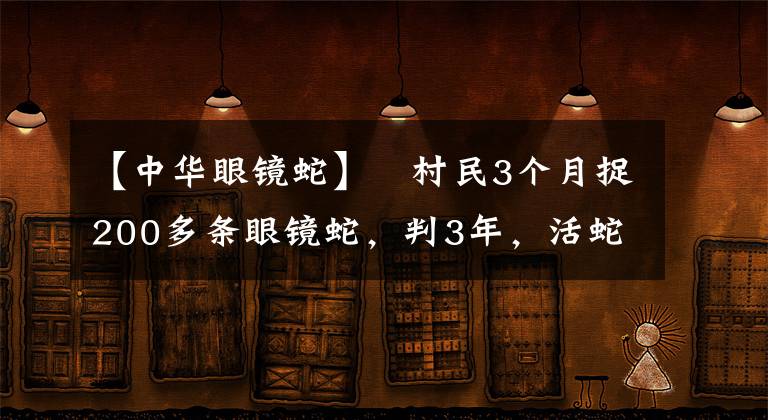 【中華眼鏡蛇】?村民3個月捉200多條眼鏡蛇，判3年，活蛇放生！抓毒蛇該支持？