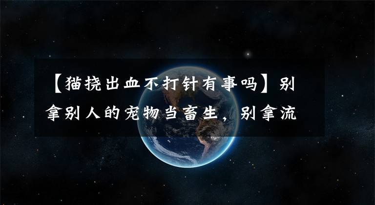 【貓撓出血不打針有事嗎】別拿別人的寵物當(dāng)畜生，別拿流浪貓的血賣錢