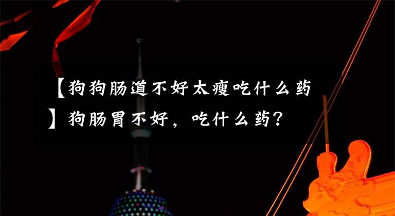 【狗狗腸道不好太瘦吃什么藥】狗腸胃不好，吃什么藥？