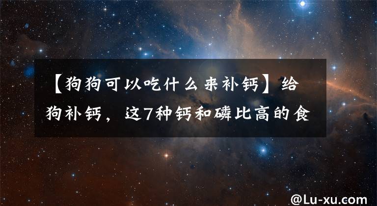 【狗狗可以吃什么來補鈣】給狗補鈣，這7種鈣和磷比高的食物更好，都是常見的食物