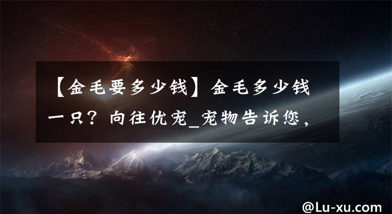 【金毛要多少錢】金毛多少錢一只？向往優(yōu)寵_寵物告訴您，怎么檢測(cè)是不是星期狗？