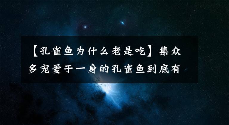 【孔雀魚為什么老是吃】集眾多寵愛于一身的孔雀魚到底有什么魔力？(威廉莎士比亞，哈姆雷特，愛情)讓那么多人喜歡。