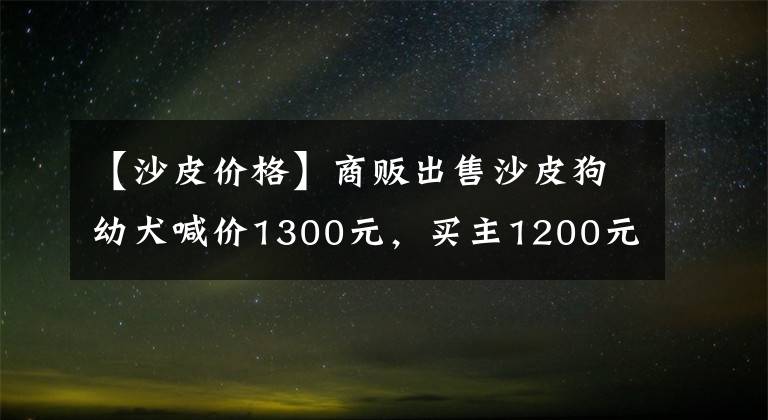 【沙皮價(jià)格】商販出售沙皮狗幼犬喊價(jià)1300元，買(mǎi)主1200元將其拿下！