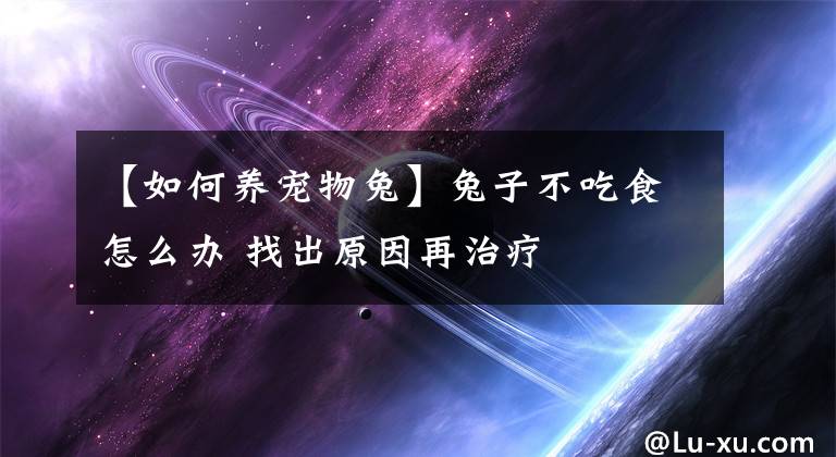 【如何養(yǎng)寵物兔】兔子不吃食怎么辦 找出原因再治療