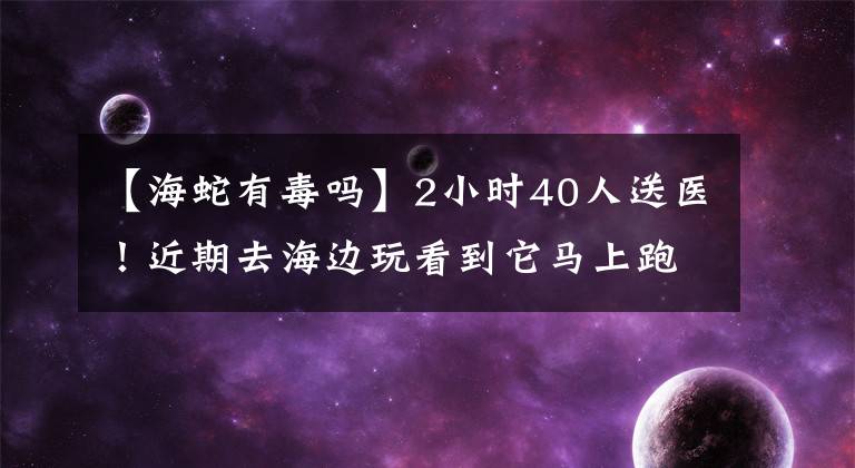 【海蛇有毒嗎】2小時(shí)40人送醫(yī)！近期去海邊玩看到它馬上跑！有人因此喪命