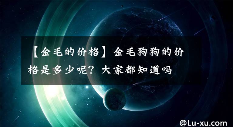 【金毛的價格】金毛狗狗的價格是多少呢？大家都知道嗎