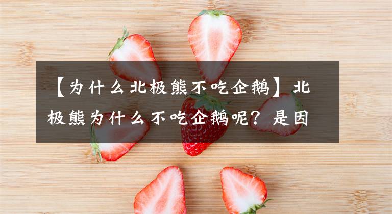 【為什么北極熊不吃企鵝】北極熊為什么不吃企鵝呢？是因為吃不到嗎？這個答案可能令你意外