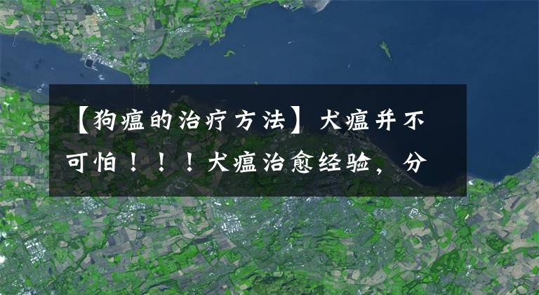 【狗瘟的治療方法】犬瘟并不可怕?。。∪林斡?jīng)驗(yàn)，分享給您