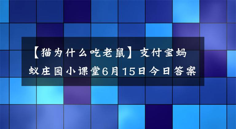 【貓為什么吃老鼠】支付寶螞蟻莊園小課堂6月15日今日答案 貓為什么要吃老鼠