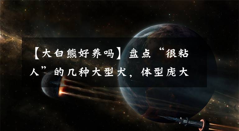 【大白熊好養(yǎng)嗎】盤點(diǎn)“很粘人”的幾種大型犬，體型龐大，但很善良