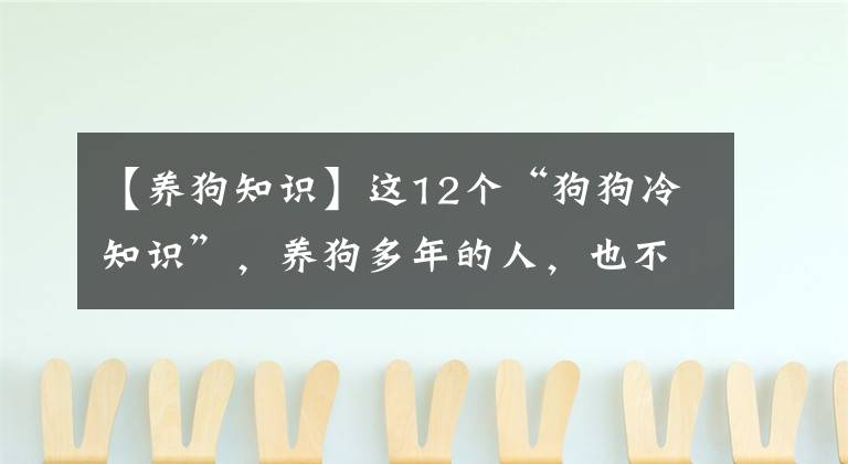 【養(yǎng)狗知識】這12個“狗狗冷知識”，養(yǎng)狗多年的人，也不一定懂