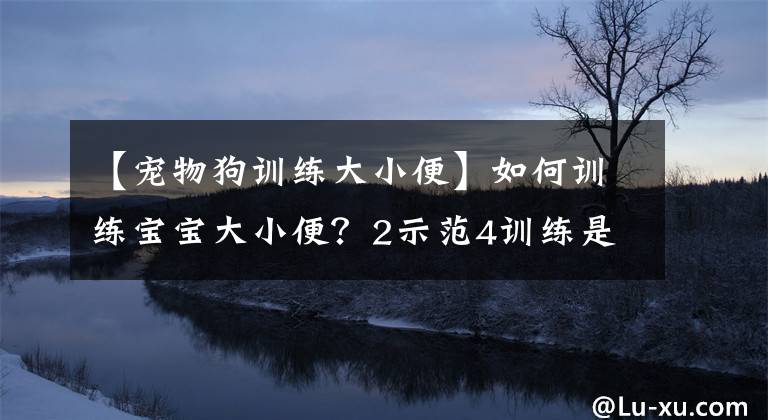 【寵物狗訓練大小便】如何訓練寶寶大小便？2示范4訓練是教孩子如廁的核心，媽媽要知道