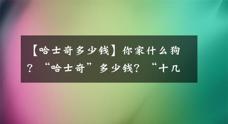 【哈士奇多少錢】你家什么狗？“哈士奇”多少錢？“十幾萬”