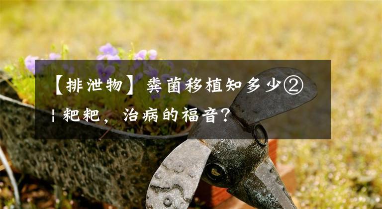 【排泄物】糞菌移植知多少② | 粑粑，治病的福音？