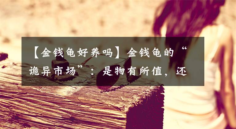 【金錢(qián)龜好養(yǎng)嗎】金錢(qián)龜?shù)摹霸幃愂袌?chǎng)”：是物有所值，還是“控盤(pán)”得當(dāng)？霧里看花