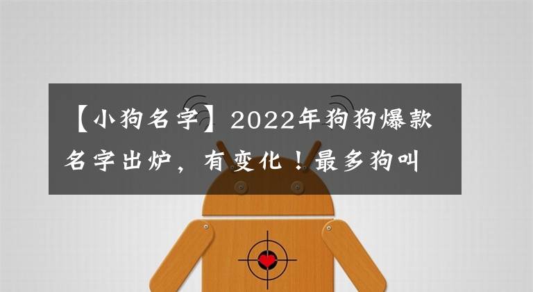 【小狗名字】2022年狗狗爆款名字出爐，有變化！最多狗叫這些名字