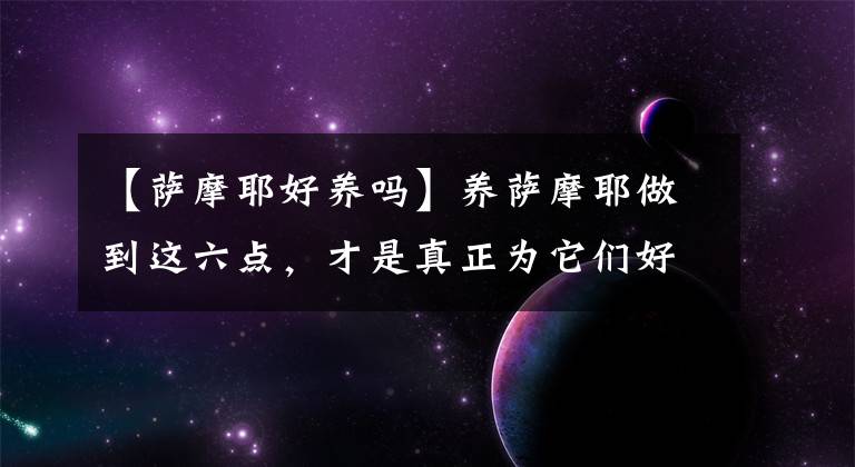 【薩摩耶好養(yǎng)嗎】養(yǎng)薩摩耶做到這六點，才是真正為它們好