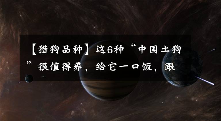 【獵狗品種】這6種“中國土狗”很值得養(yǎng)，給它一口飯，跟你一輩子