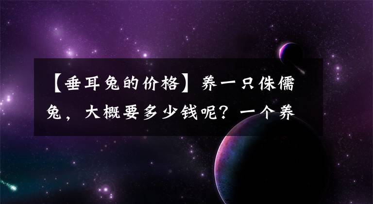 【垂耳兔的價(jià)格】養(yǎng)一只侏儒兔，大概要多少錢呢？一個(gè)養(yǎng)兔玩家的自白