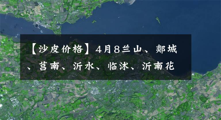 【沙皮價格】4月8蘭山、郯城、莒南、沂水、臨沭、沂南花生?；ńy(tǒng)米3.5左右