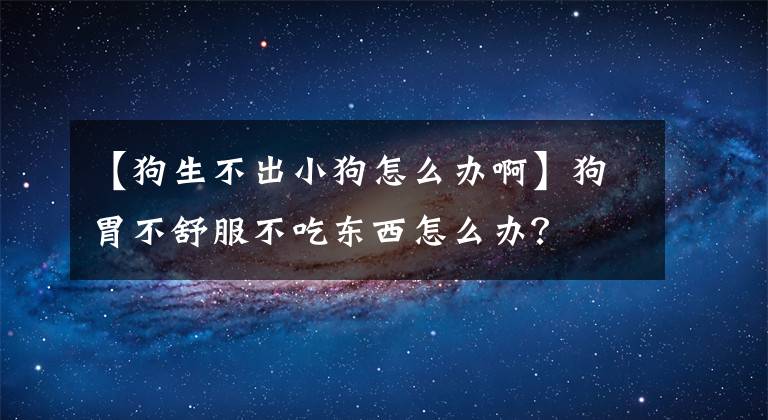 【狗生不出小狗怎么辦啊】狗胃不舒服不吃東西怎么辦？