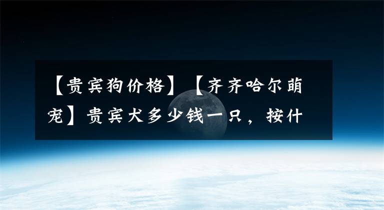 【貴賓狗價格】【齊齊哈爾萌寵】貴賓犬多少錢一只，按什么標準來定價？