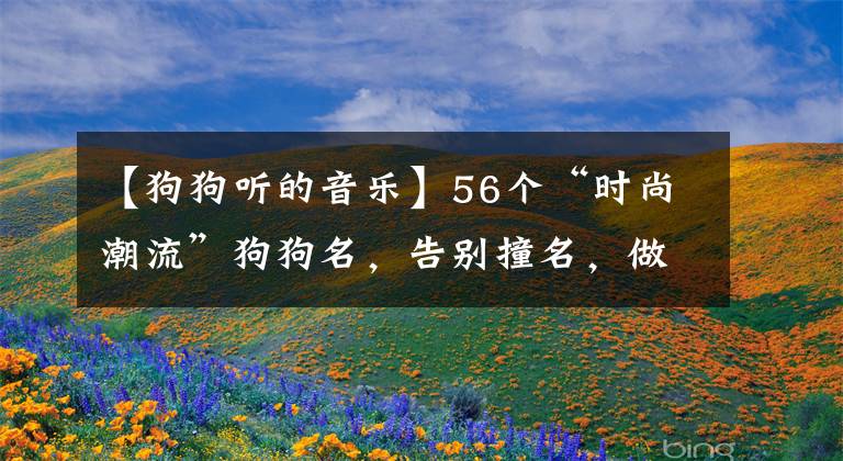 【狗狗聽的音樂】56個(gè)“時(shí)尚潮流”狗狗名，告別撞名，做最潮的狗狗