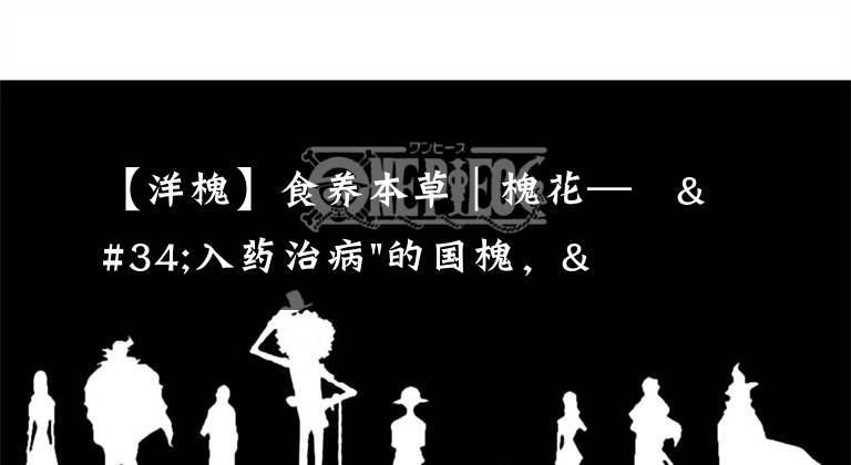 【洋槐】食養(yǎng)本草｜槐花—?"入藥治病"的國槐，"溫香軟玉"的洋槐