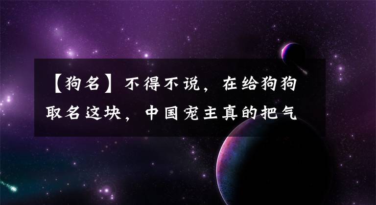 【狗名】不得不說(shuō)，在給狗狗取名這塊，中國(guó)寵主真的把氣質(zhì)拿捏得死死的