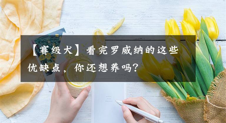 【賽級犬】看完羅威納的這些優(yōu)缺點，你還想養(yǎng)嗎？