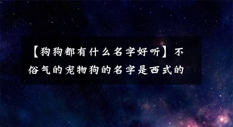 【狗狗都有什么名字好聽】不俗氣的寵物狗的名字是西式的，很好聽-可愛