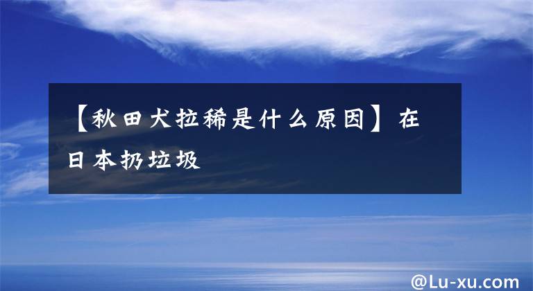 【秋田犬拉稀是什么原因】在日本扔垃圾