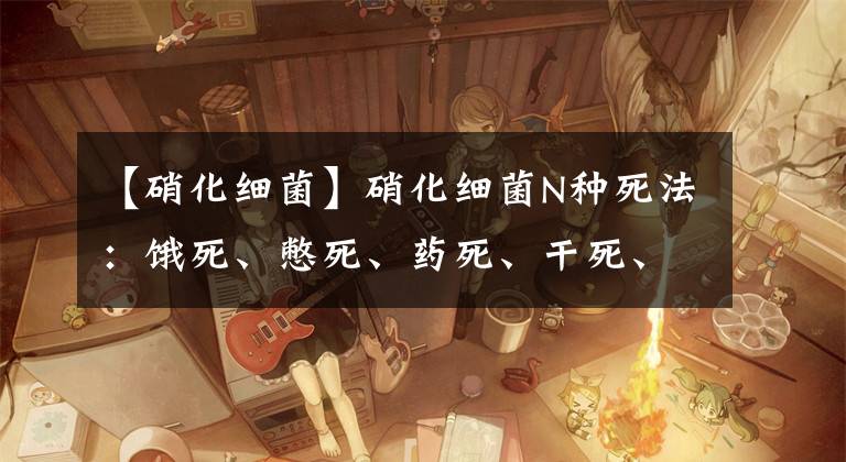 【硝化細(xì)菌】硝化細(xì)菌N種死法：餓死、憋死、藥死、干死、照射死等等