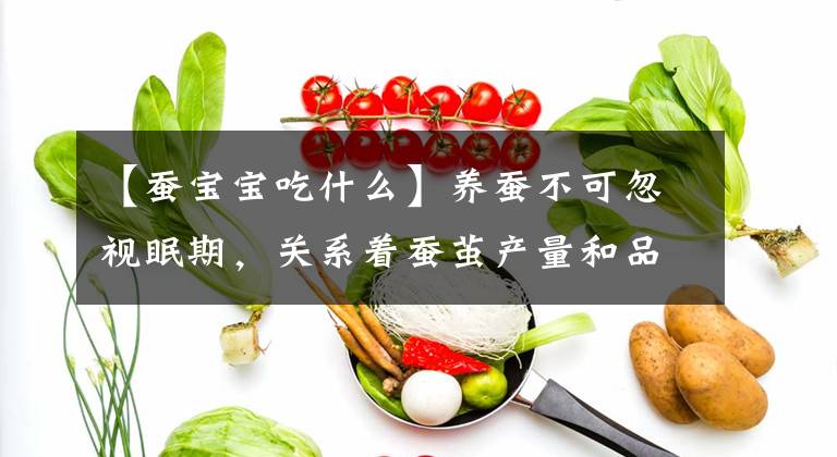 【蠶寶寶吃什么】養(yǎng)蠶不可忽視眠期，關(guān)系著蠶繭產(chǎn)量和品質(zhì)，6個(gè)要點(diǎn)需要落實(shí)到位