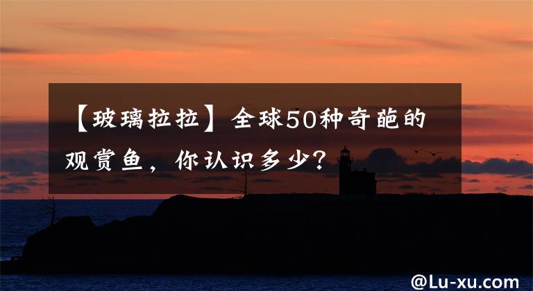 【玻璃拉拉】全球50種奇葩的觀賞魚(yú)，你認(rèn)識(shí)多少？