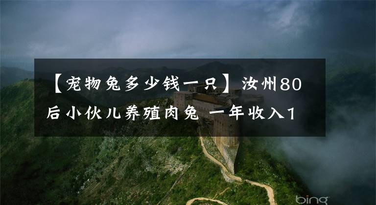 【寵物兔多少錢一只】汝州80后小伙兒養(yǎng)殖肉兔 一年收入1000萬