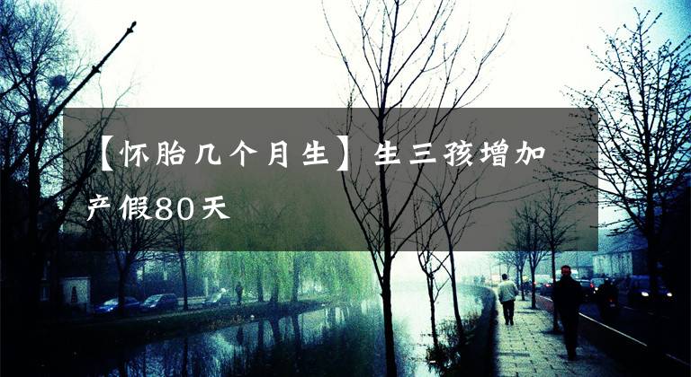 【懷胎幾個月生】生三孩增加產假80天