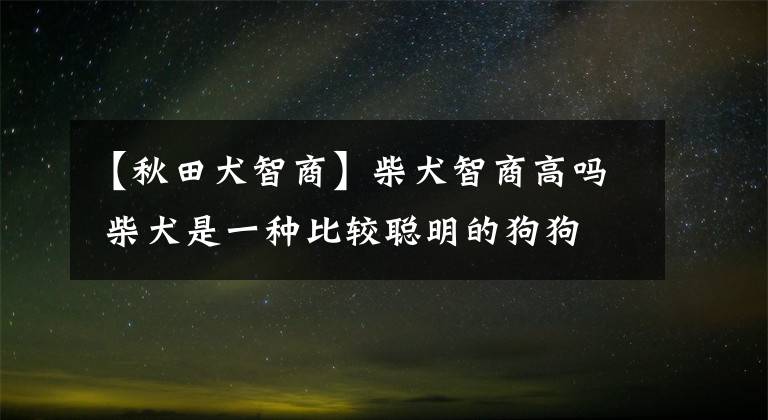 【秋田犬智商】柴犬智商高嗎 柴犬是一種比較聰明的狗狗