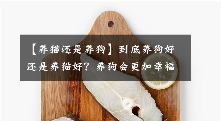 【養(yǎng)貓還是養(yǎng)狗】到底養(yǎng)狗好還是養(yǎng)貓好？養(yǎng)狗會更加幸福，5個狗狗比貓咪好的原因