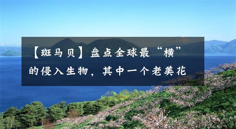 【斑馬貝】盤(pán)點(diǎn)全球最“橫”的侵入生物，其中一個(gè)老美花了30億才勉強(qiáng)搞定！