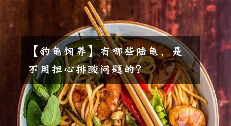 【豹龜飼養(yǎng)】有哪些陸龜，是不用擔(dān)心排酸問題的？