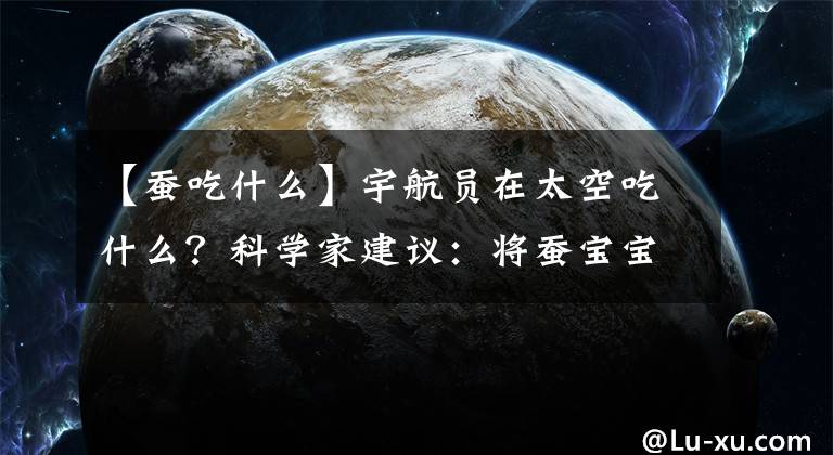 【蠶吃什么】宇航員在太空吃什么？科學家建議：將蠶寶寶端上太空餐桌