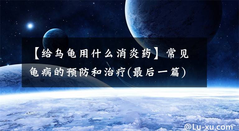 【給烏龜用什么消炎藥】常見龜病的預防和治療(最后一篇)