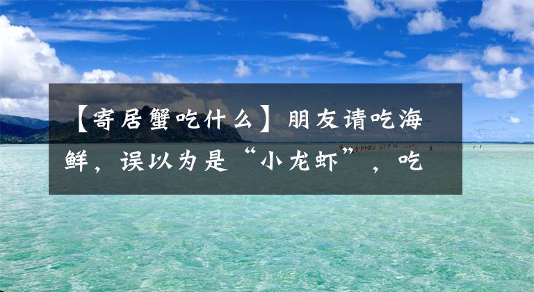 【寄居蟹吃什么】朋友請吃海鮮，誤以為是“小龍蝦”，吃了才發(fā)現(xiàn)不對，這是啥？